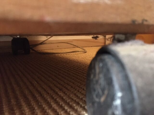 André Sornay wardrobe