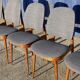 Set of 6 chairs "pegase" by baumann, 60 years