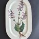 Villeroy and Boch botanica dish