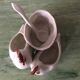 Roosters mustard salt and pepper shakers