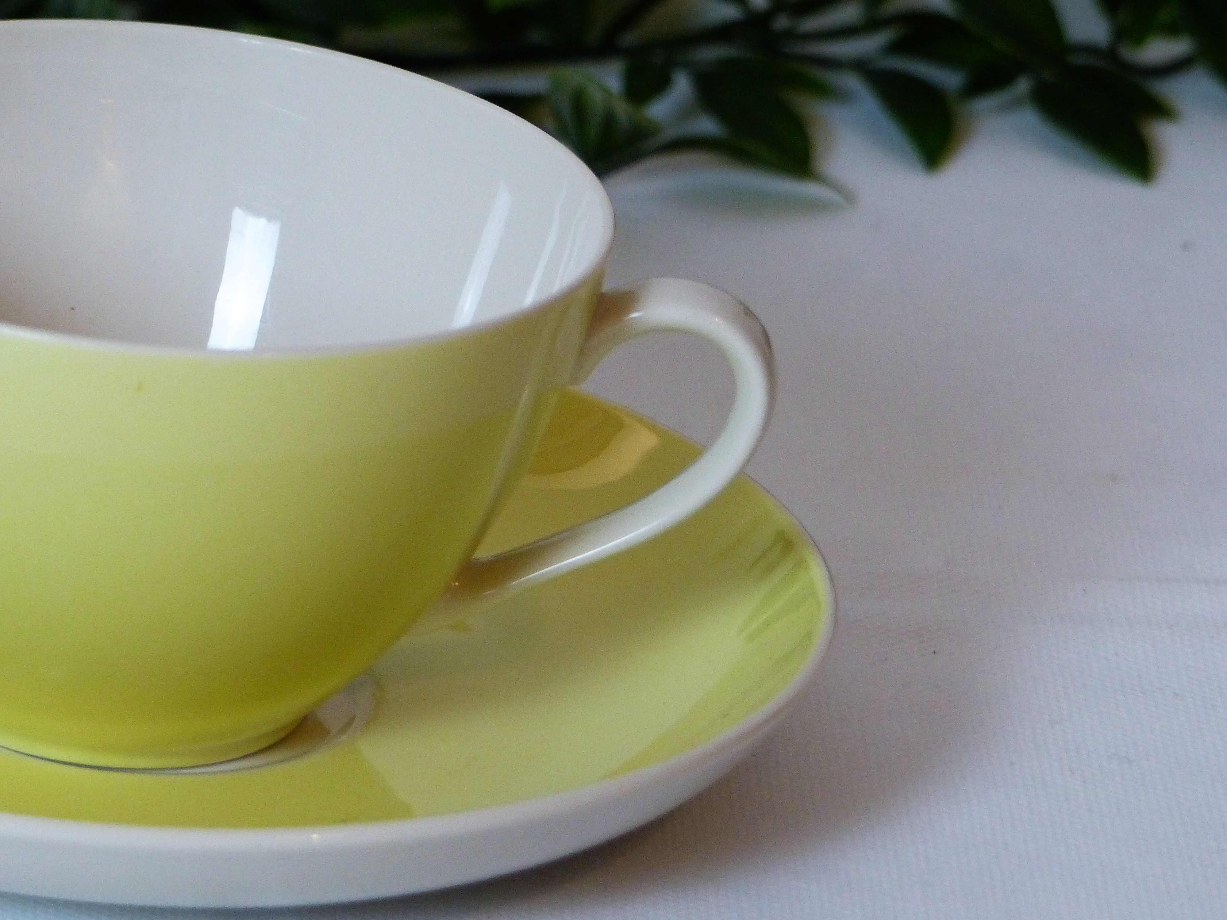 Mug and under cup Villeroy and Boch