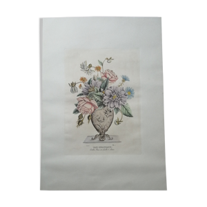 Lithographie par Prévost Vase