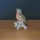 German Saxon Porcelain - Karl Ens - Singing Nightingale