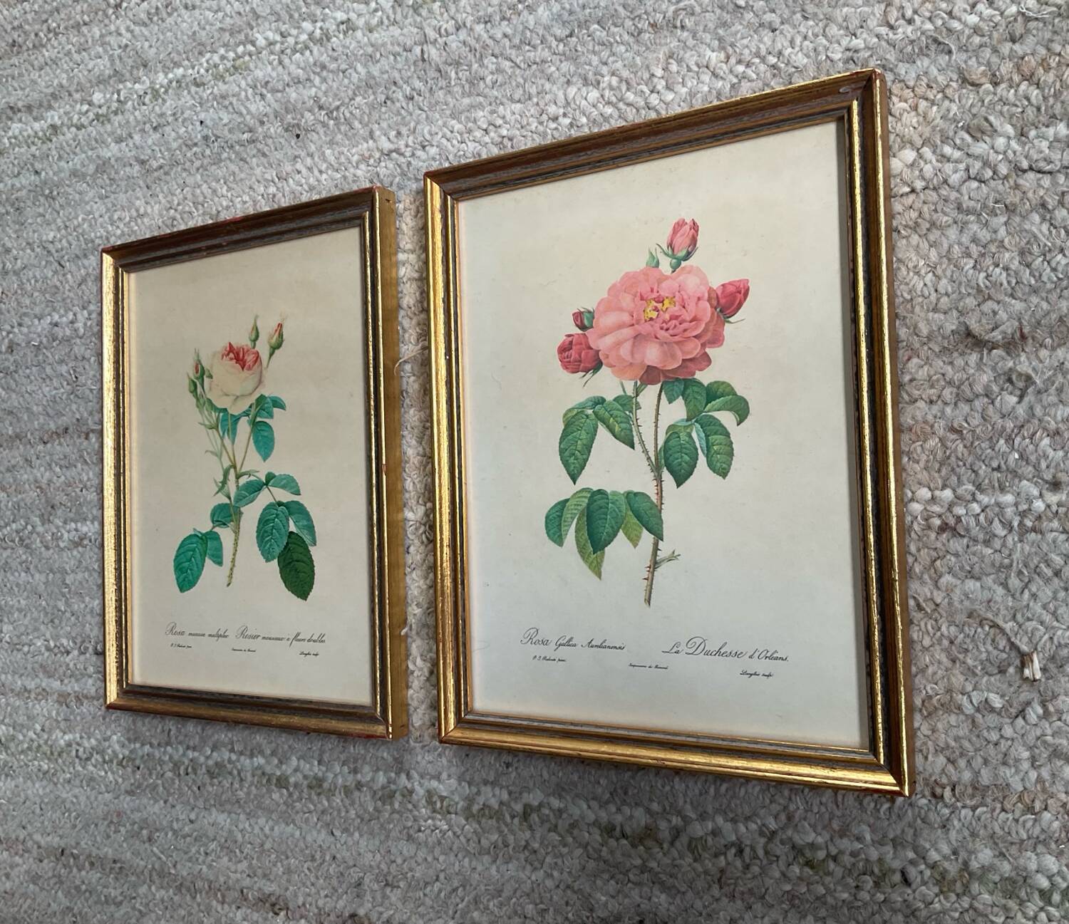 Pair of gilded wooden botanical frames from the 70s