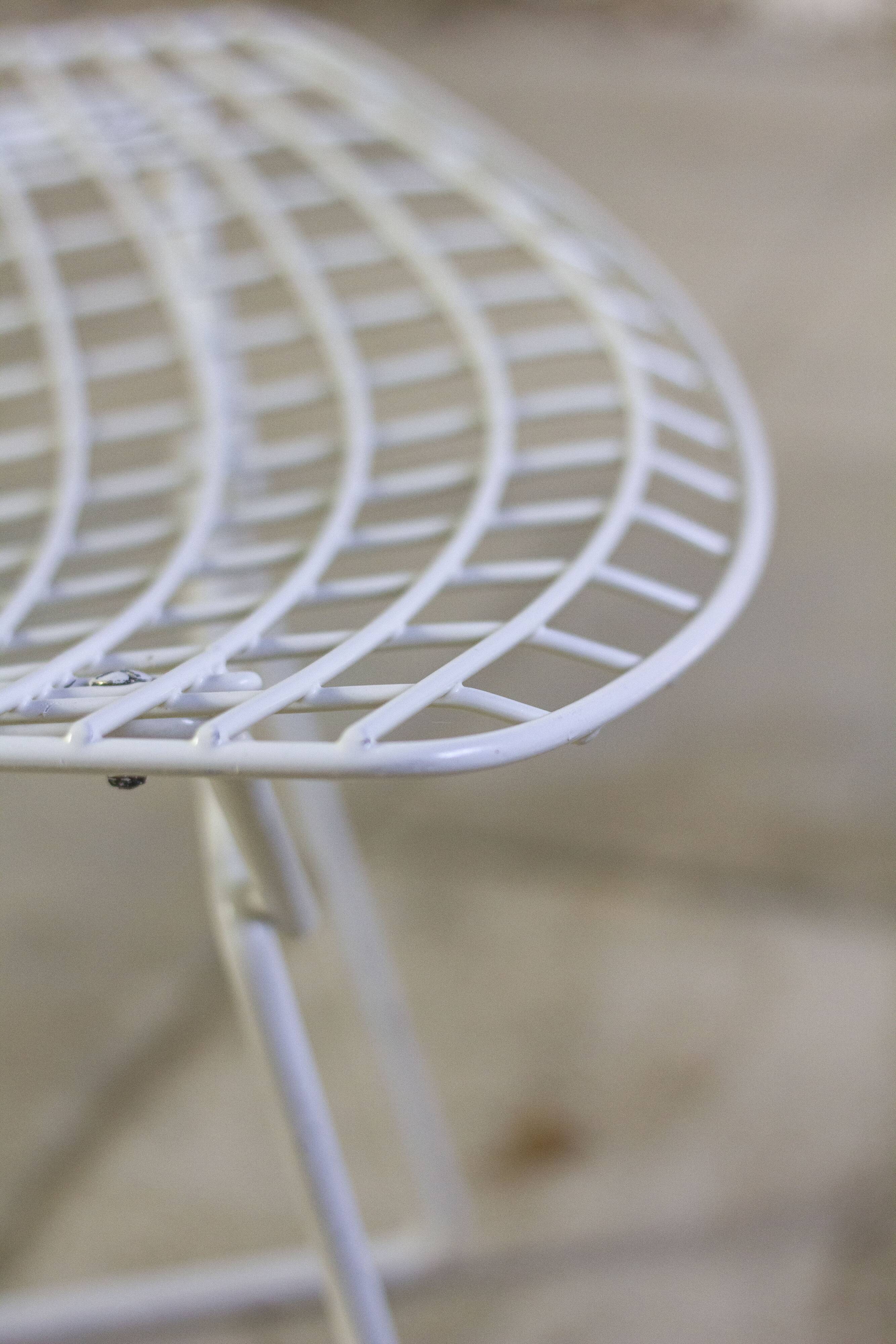 Wire Harry Bertoia chair white