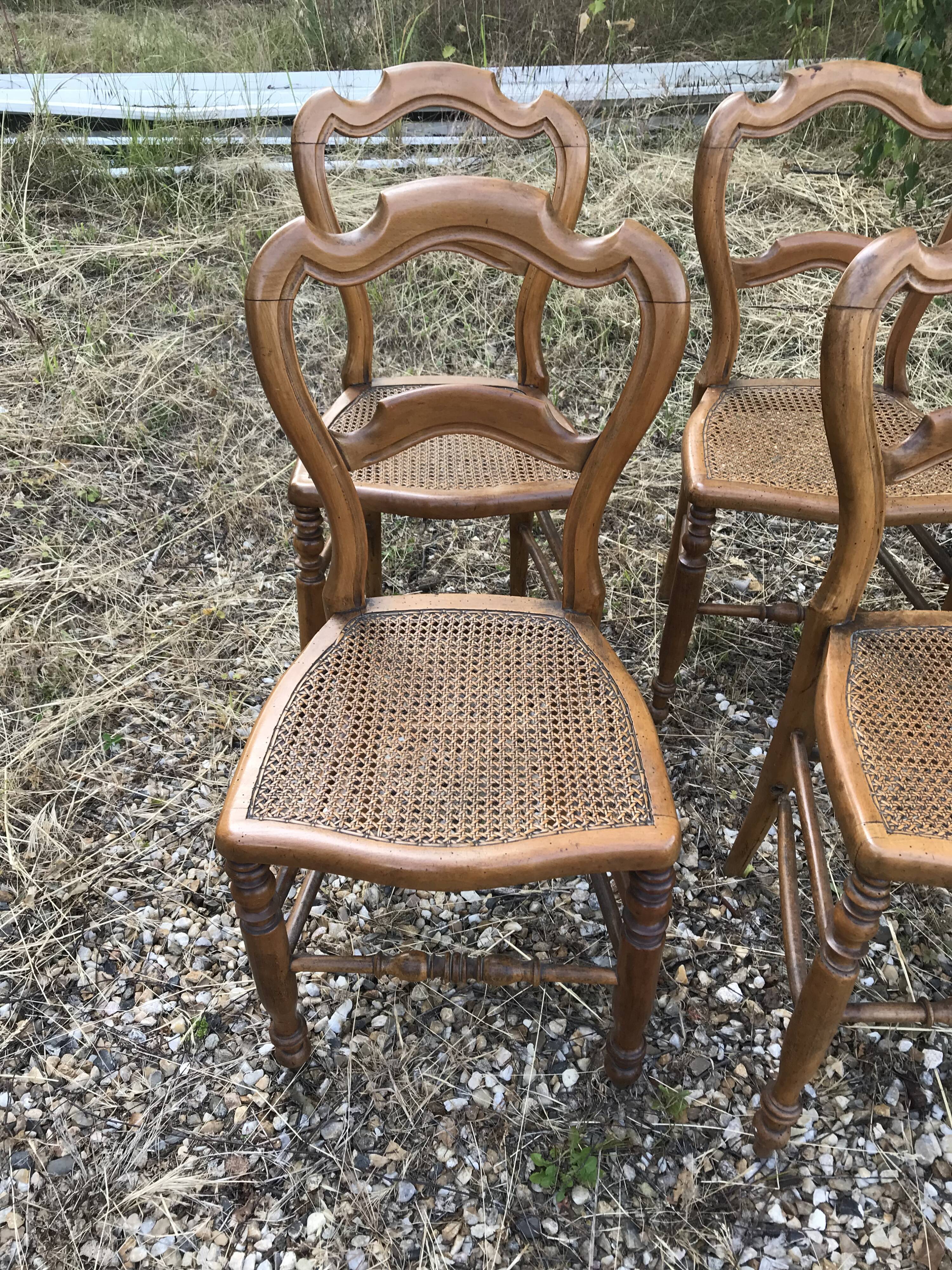 8 chairs Louis Philippe