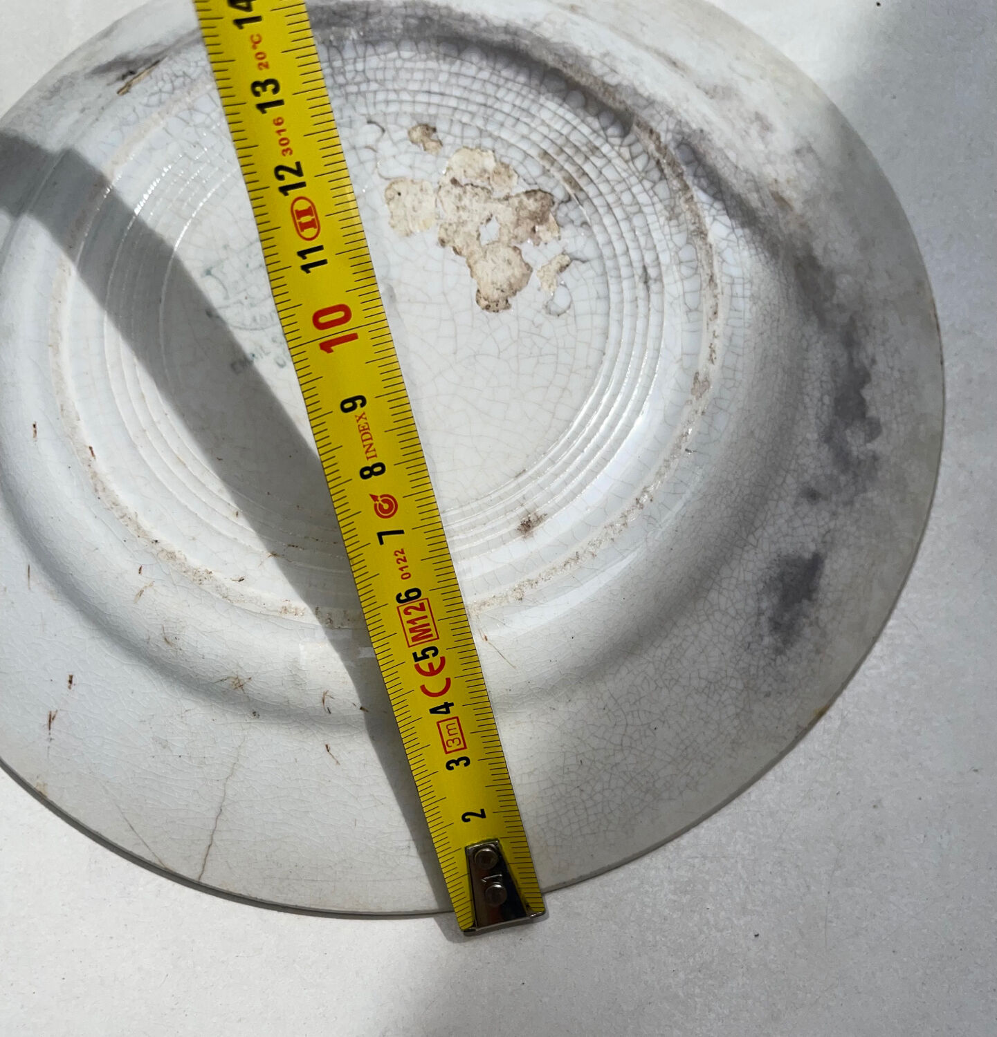 Old Creil and Montereau Labrador plate