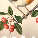 Antique engraving bird in metal frame