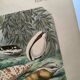 Gravure ancienne de 1886. Coquillages et mollusques (2) Mer, plage et océan