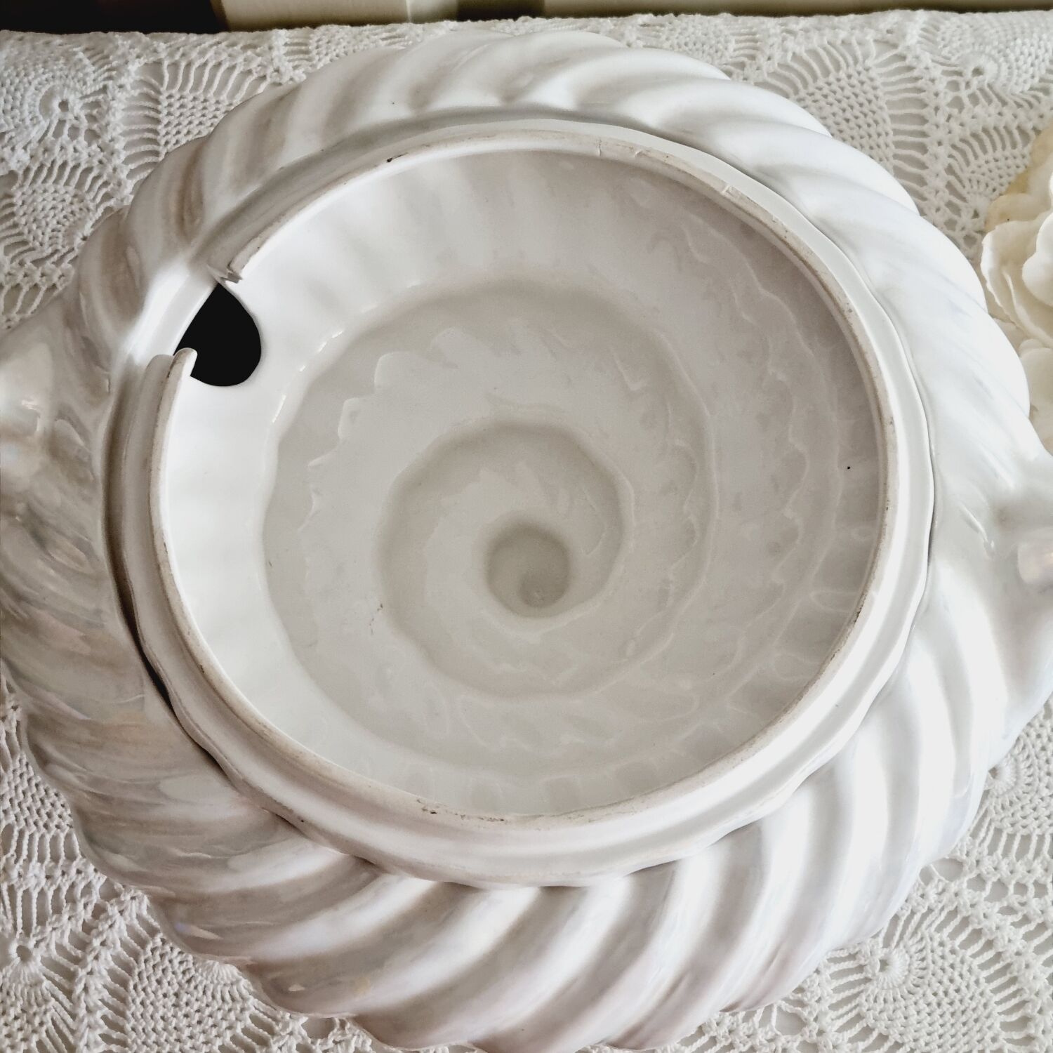Shell tureen in slurry Portugal