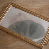 Mirror tray