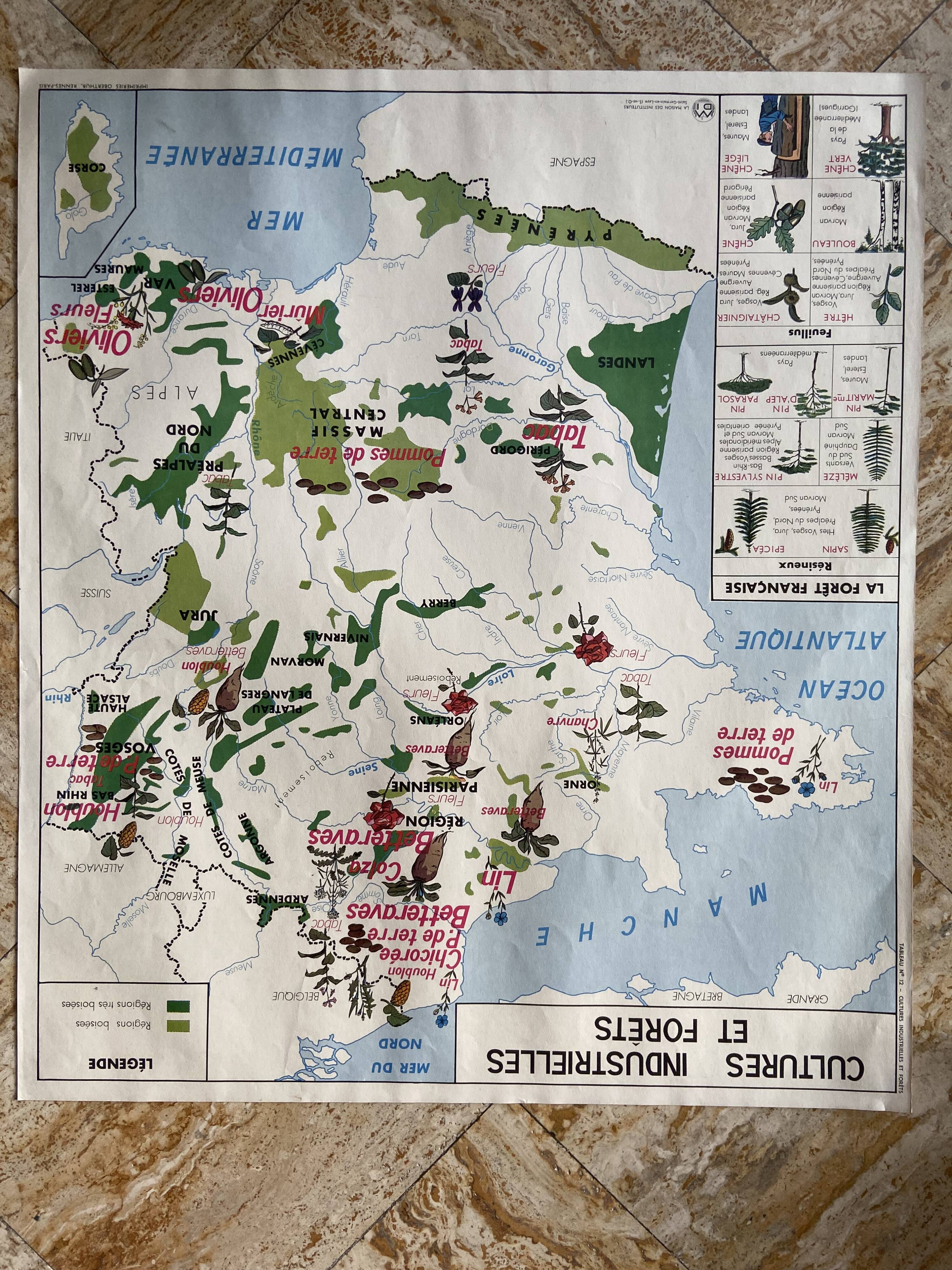 Old vintage school poster