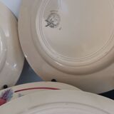11 Flat plates flower Moulin des Loups and hamage