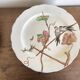 set de 12 assiettes polychrome 1850 ondulées Brownfield England oiseaux