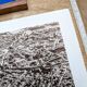 Toulouse, Haute-Garonne, photo print plate from 1942.