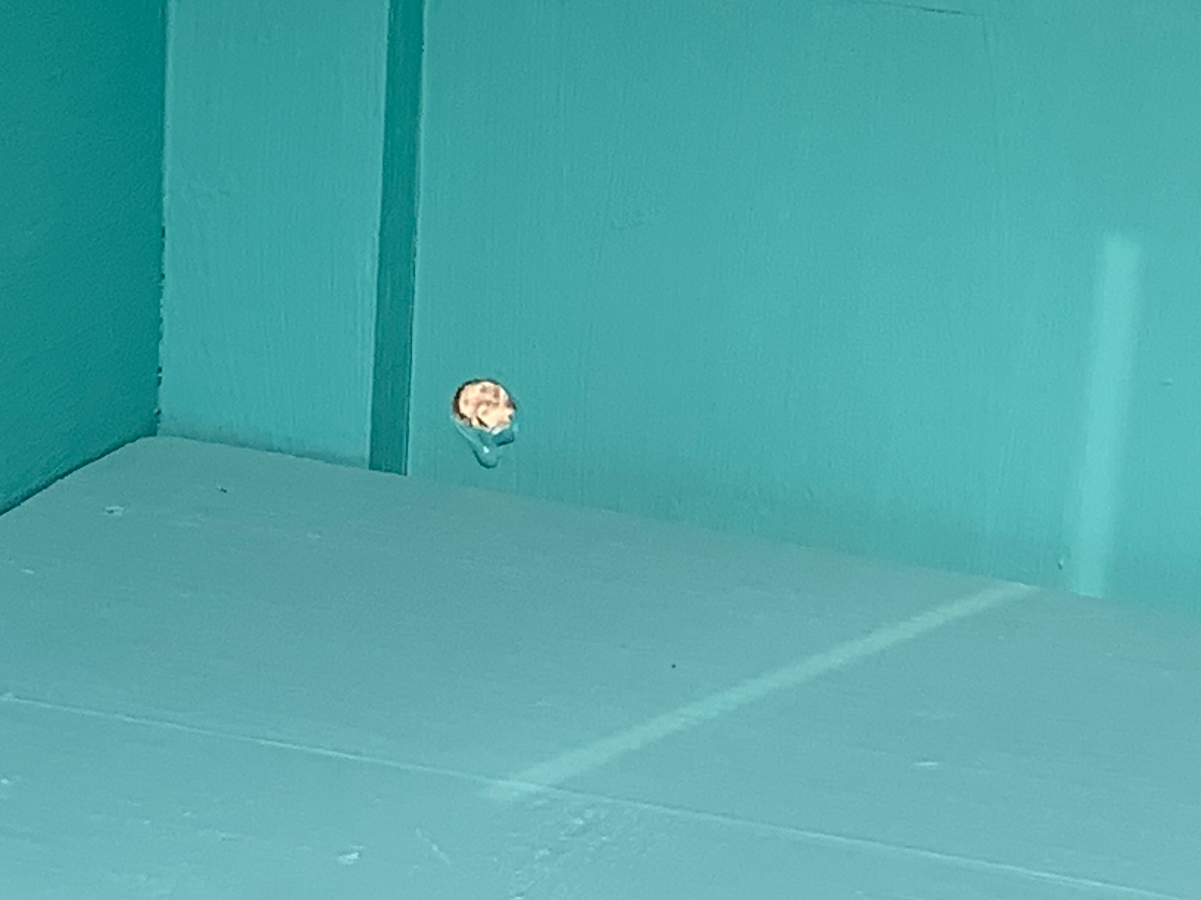 Parisian wardrobe art deco panel 1940