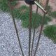 Vintage Lunel floor lamp with 3 golden metal tulips from the 1960s.