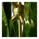 Midmodern Style Italian Brass Pendant Lamp with Bright Green Murano Glass Slabs