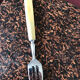 Forks