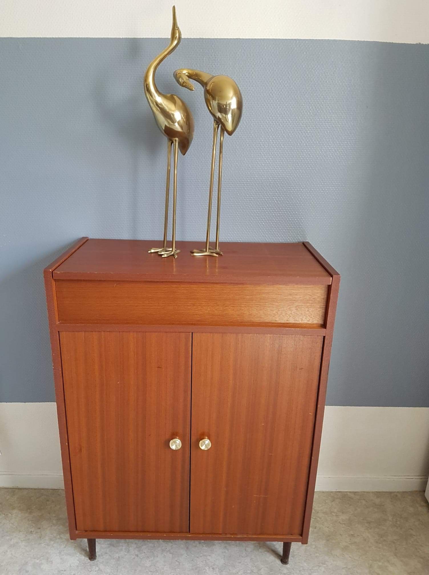 Vintage Shoe cabinet with storage locker on top