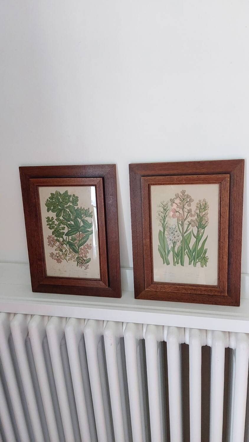 Duo botanical frames by hofleverancier