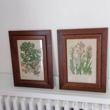 Duo botanical frames by hofleverancier