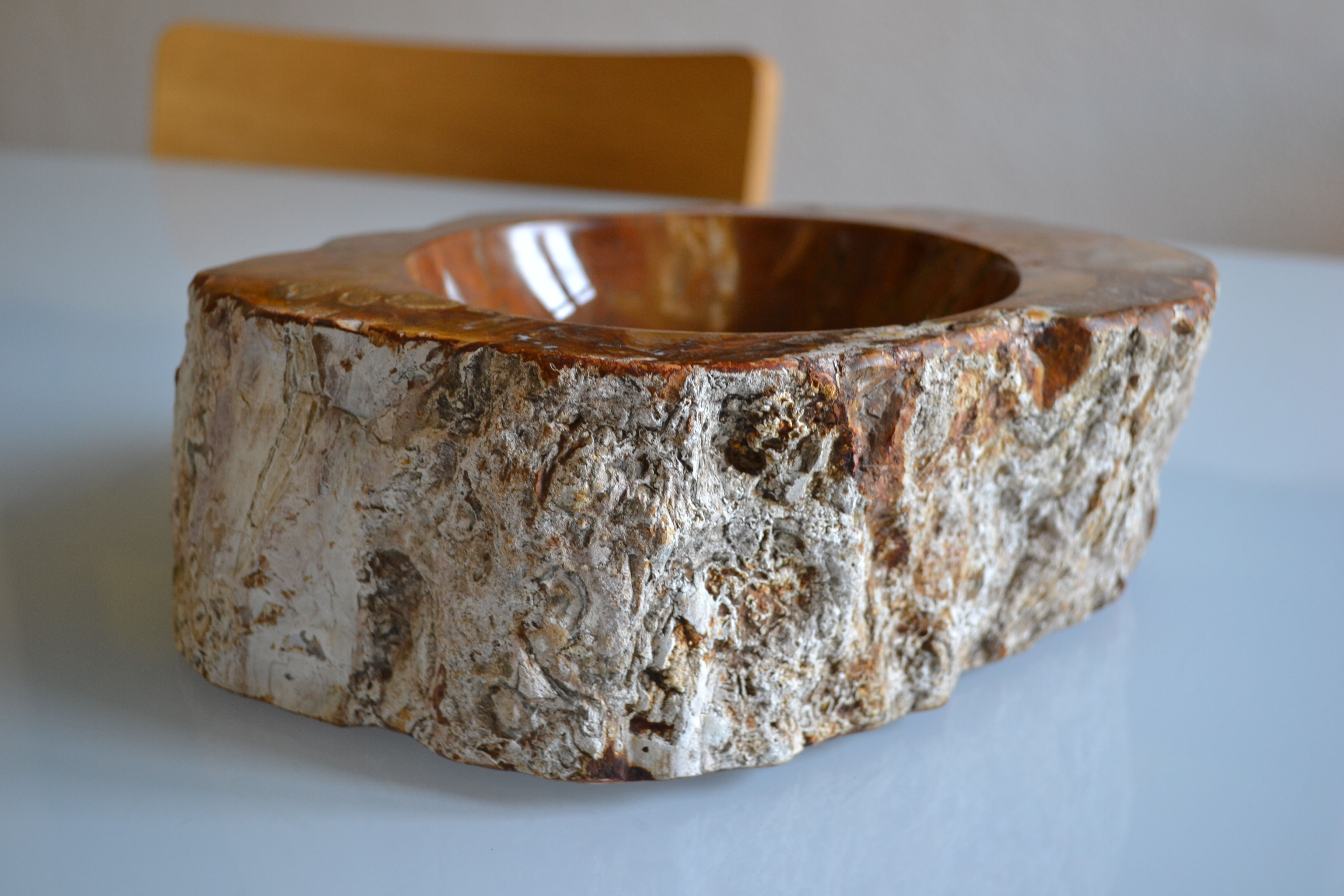 Empty pocket or ashtray in fossilized wood