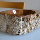 Empty pocket or ashtray in fossilized wood