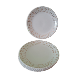 6 assiettes plates Luneville