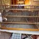 Ancient wooden birdcage