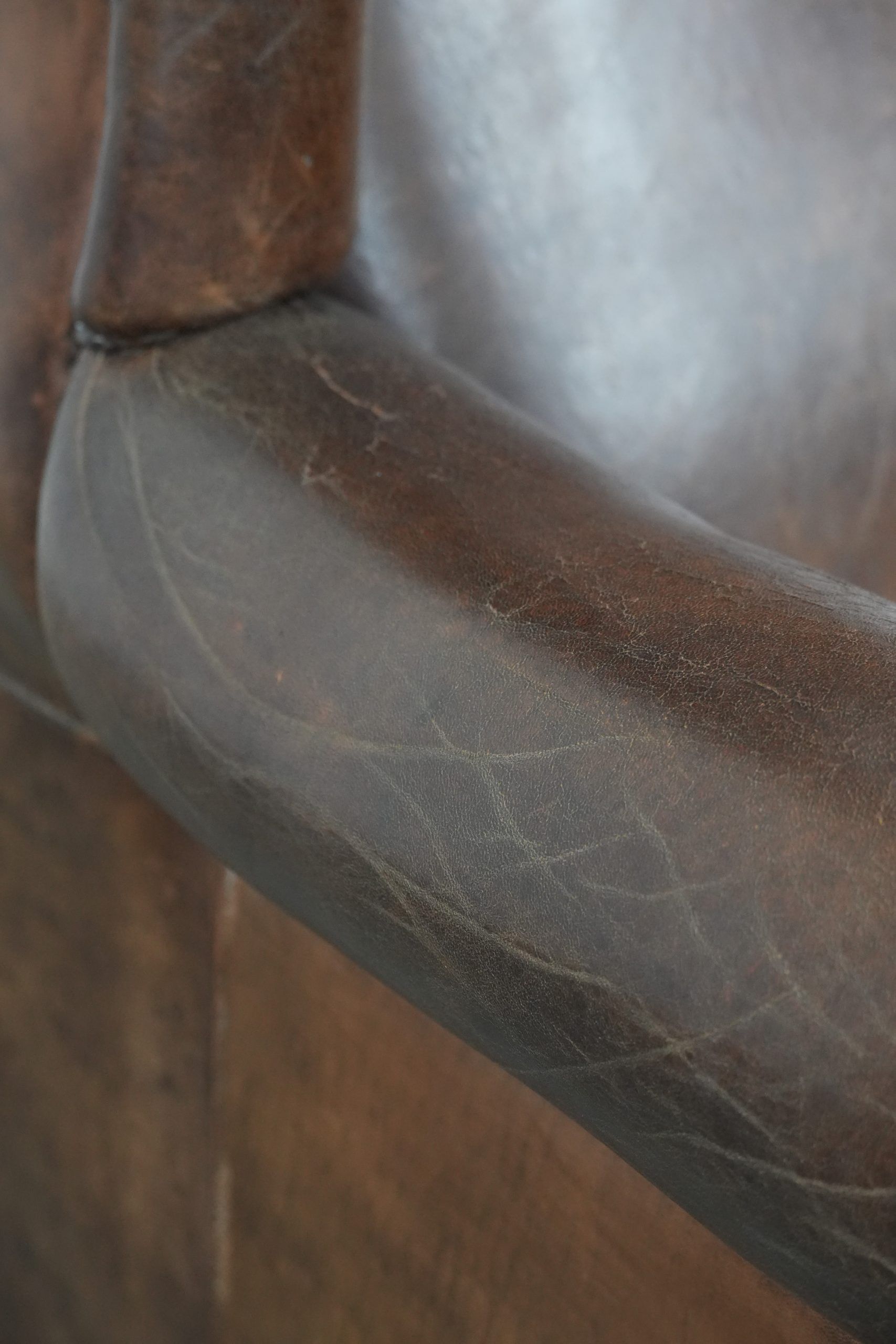 Vintage wingback armchair made of sheepskin leather with beautiful colours