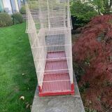 Cage ancienne oiseaux