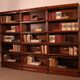 Library Wall of 3 Globe Wernicke Modules in Oak - 19th Century
