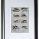 Original zoological plate "common fox & American fox, badger,... - Buffon 1838