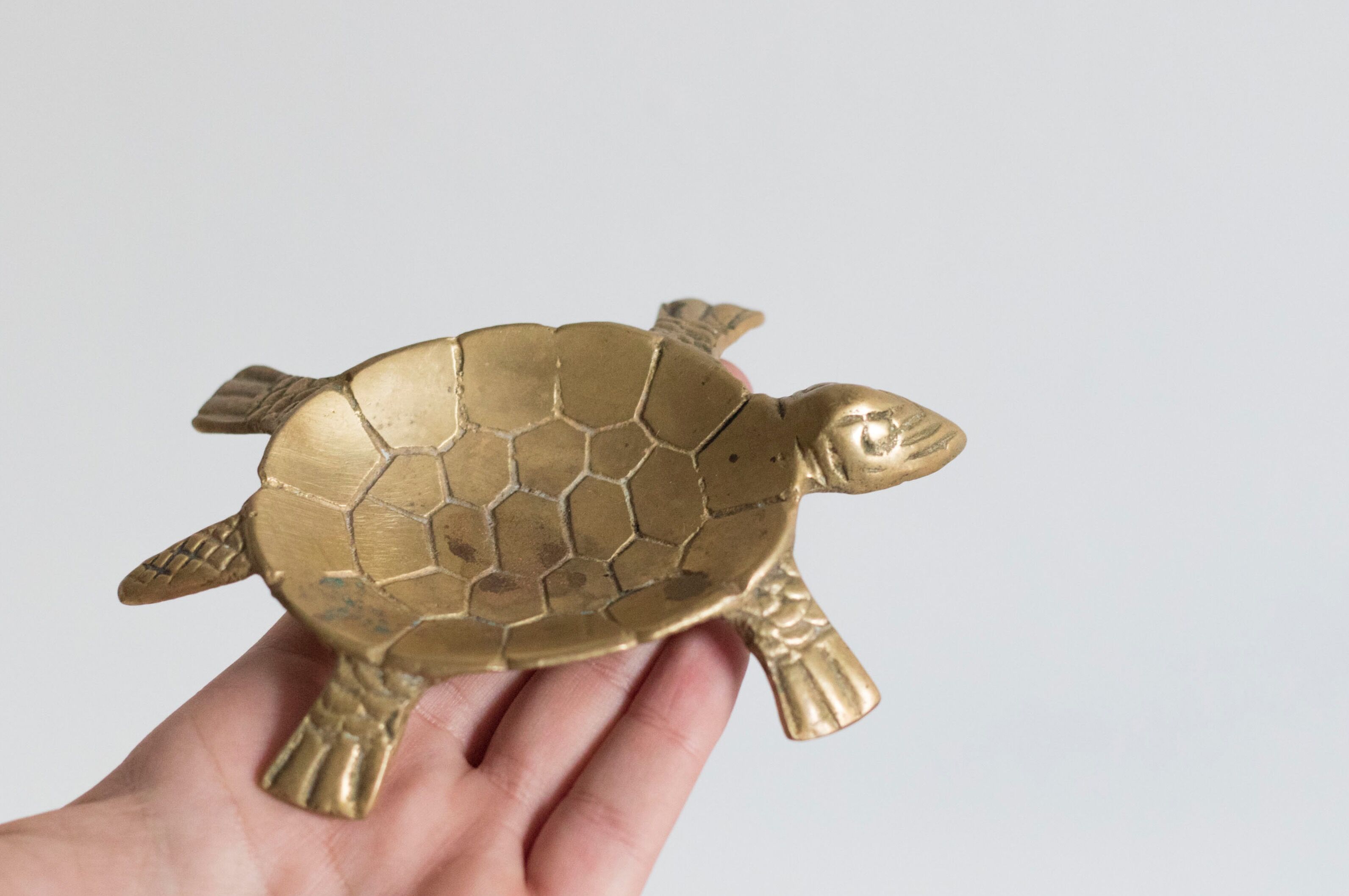 Ashtray / empty turtle brass pockets