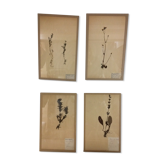 4 herbaries