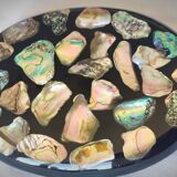 Abalone shell trifle 1969