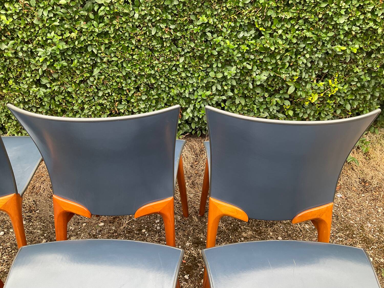Série de 6 chaises Cassina par Josep Llusca