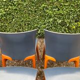Series of 6 Cassina chairs by Josep Llusca