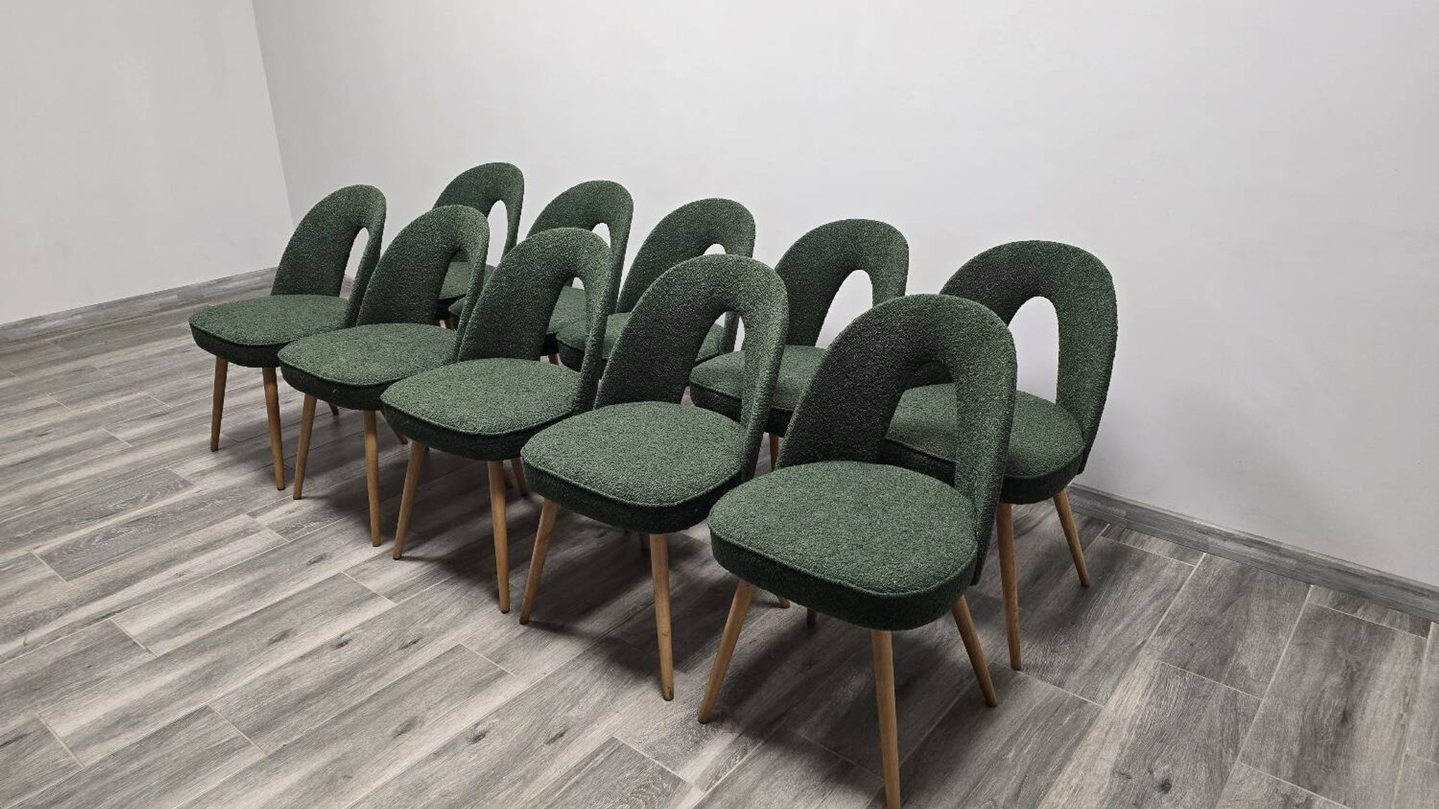 Dining Chairs by Antonin Suman, 1960s, Set of 10