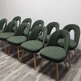 Dining Chairs by Antonin Suman, 1960s, Set of 10