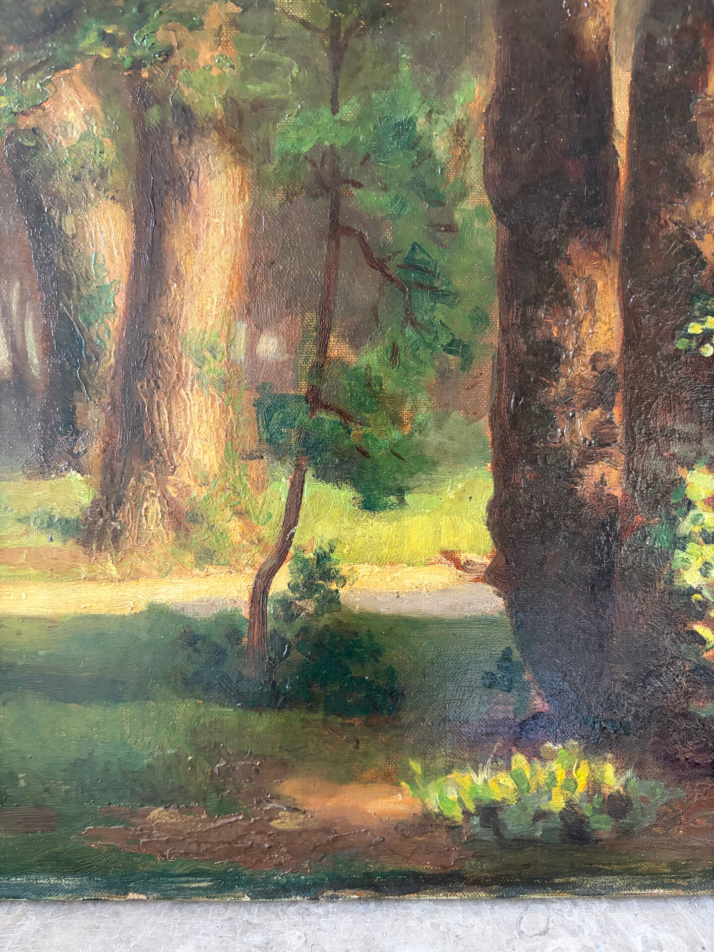 Lumière en Sous‑Bois, huile sur toile