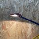 Desk lamp with pendulum Stilplast 1980s