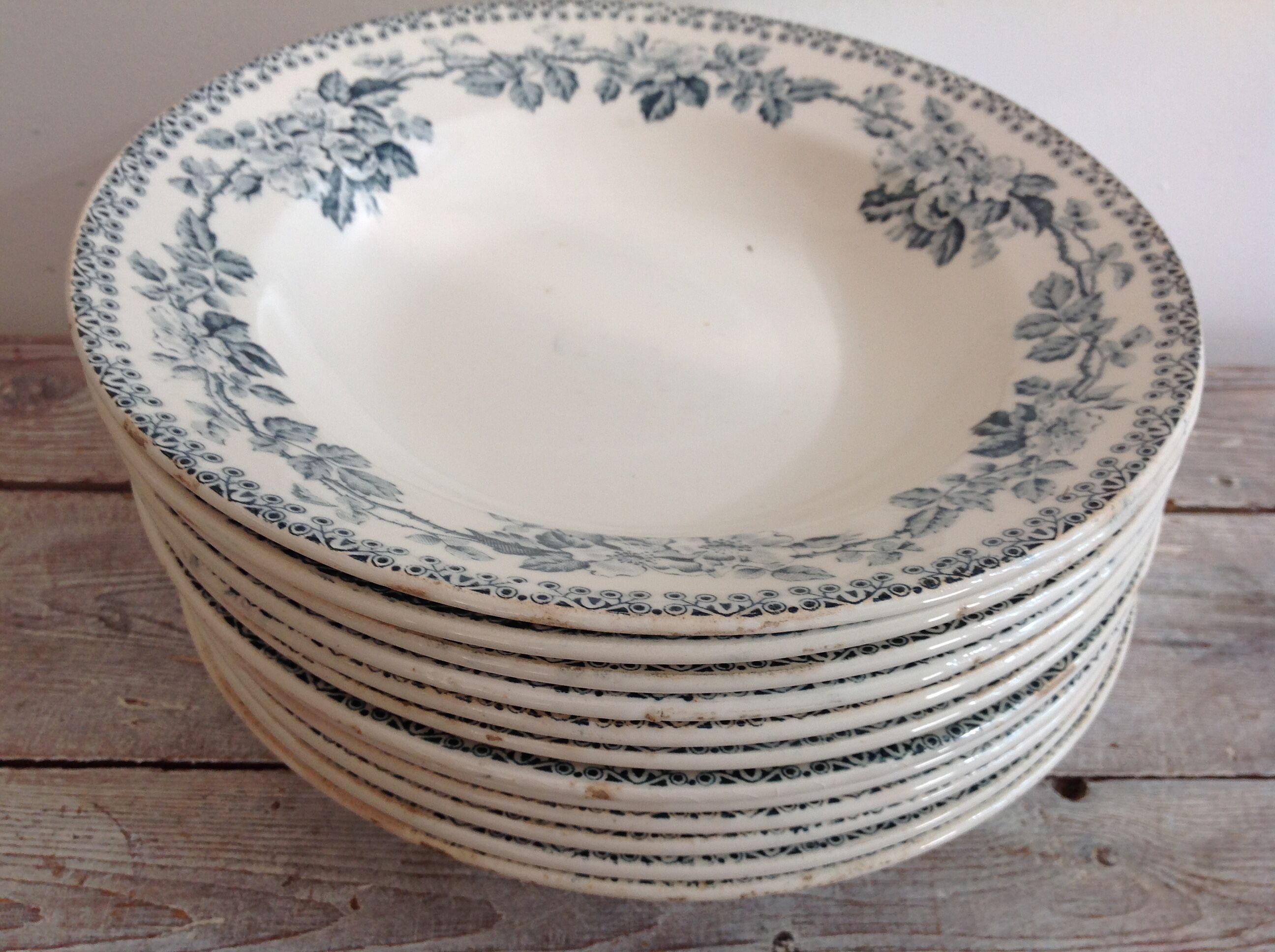 Set of 12 deep terre de fer plates