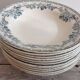 Set of 12 deep terre de fer plates