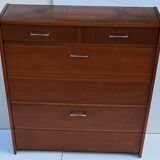 Vintage shoe cabinet