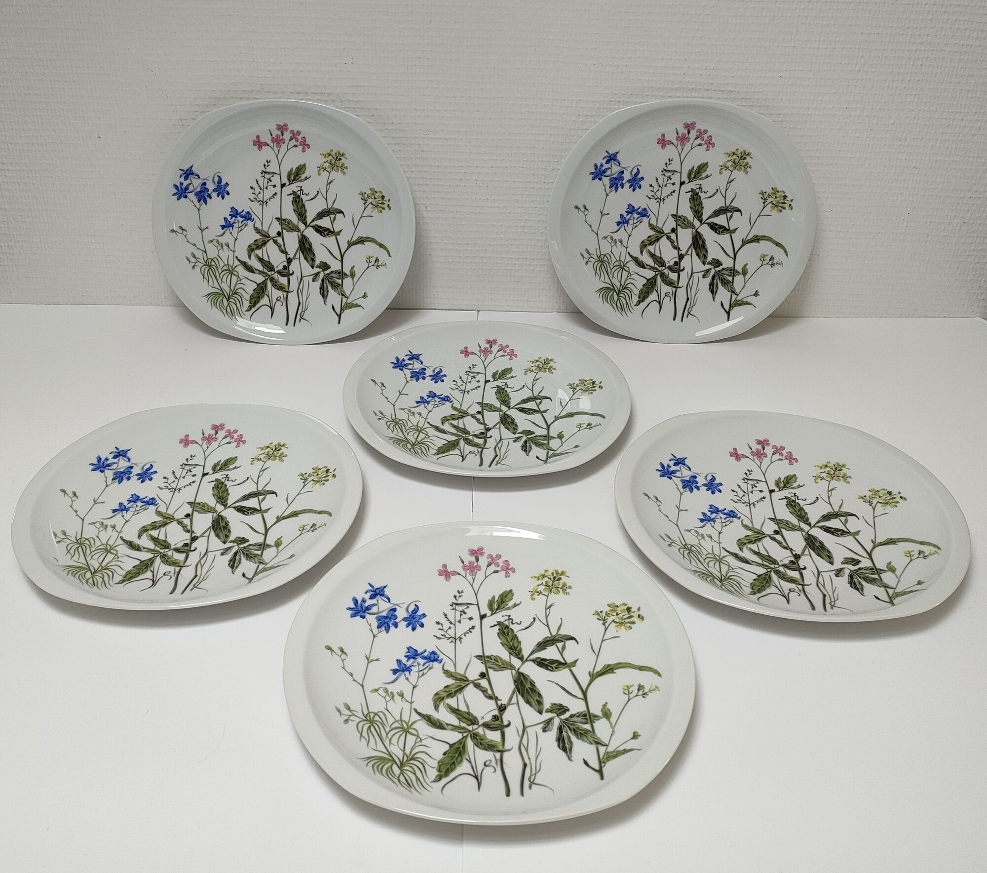 Six flat plates porcelain Bernardaud Limoges model Alcée floral decoration