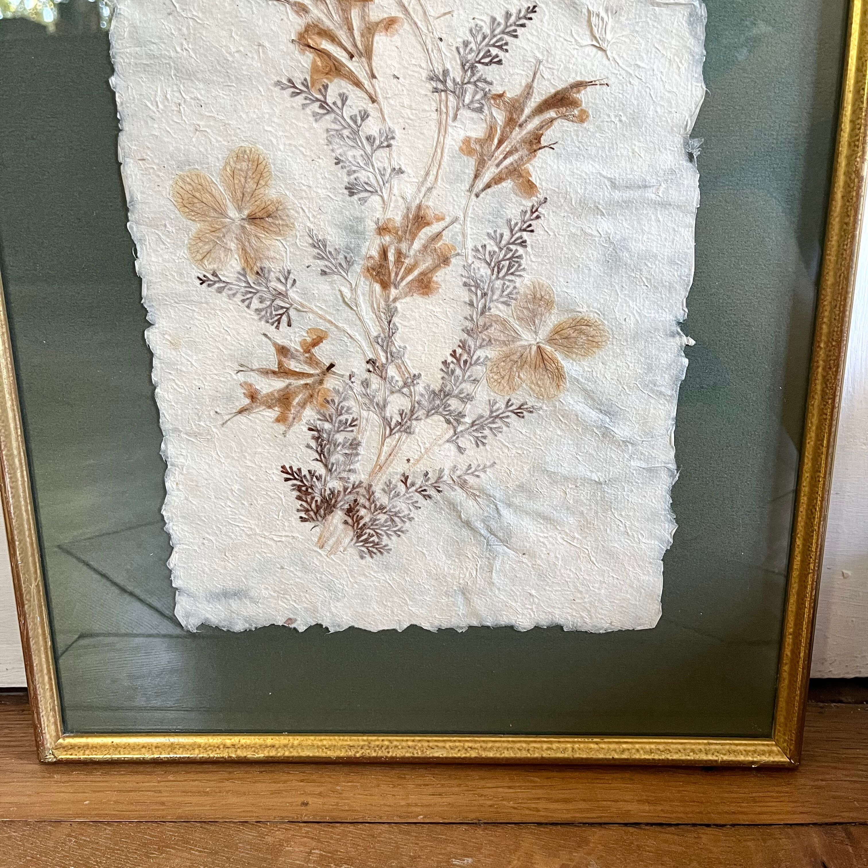 Vintage herbarium frame dried flowers 70s