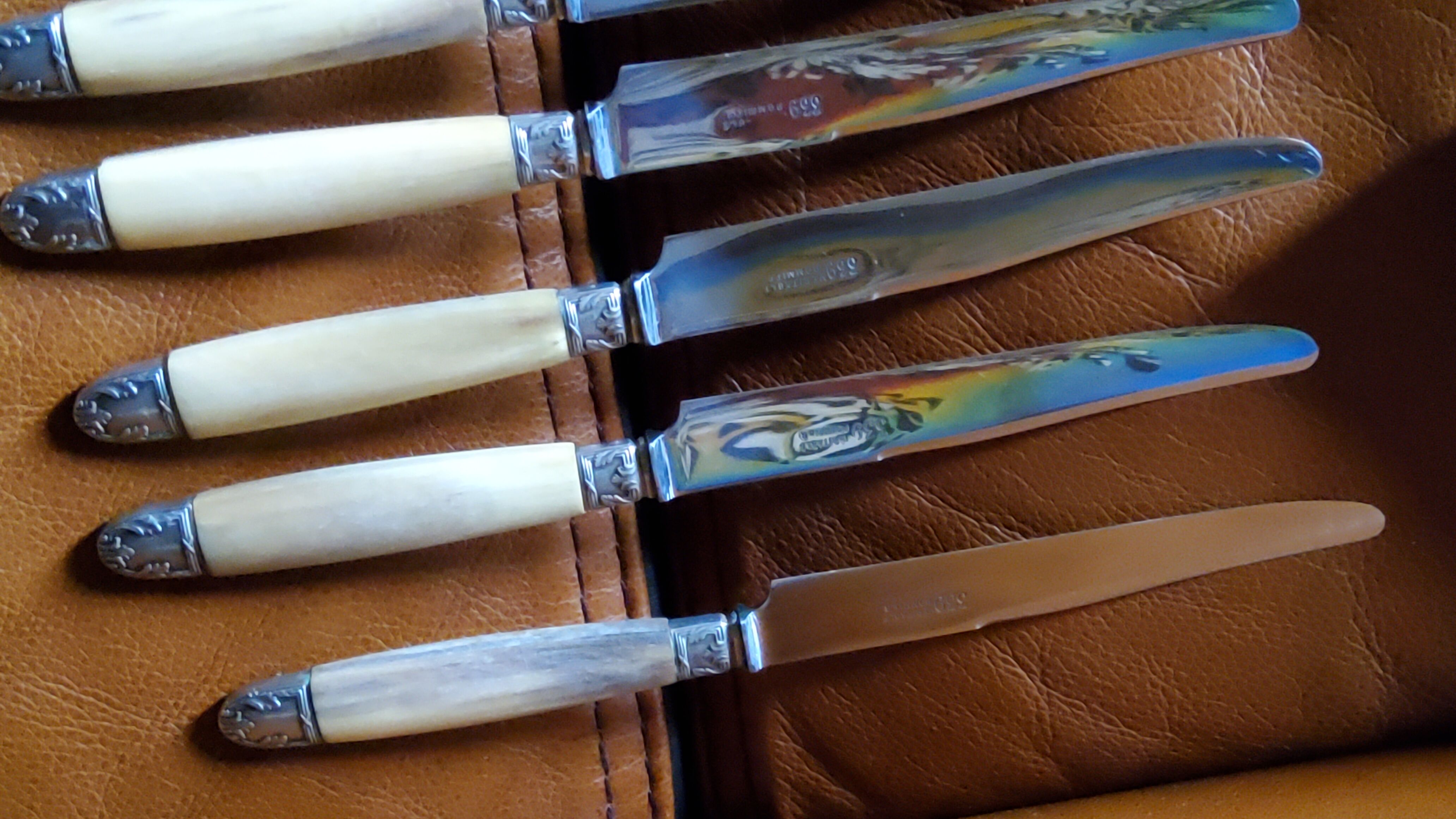 Box of 12 table knives goldsmith Apple handle horn and silver metal