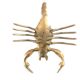 Scorpion en laiton, années 60
